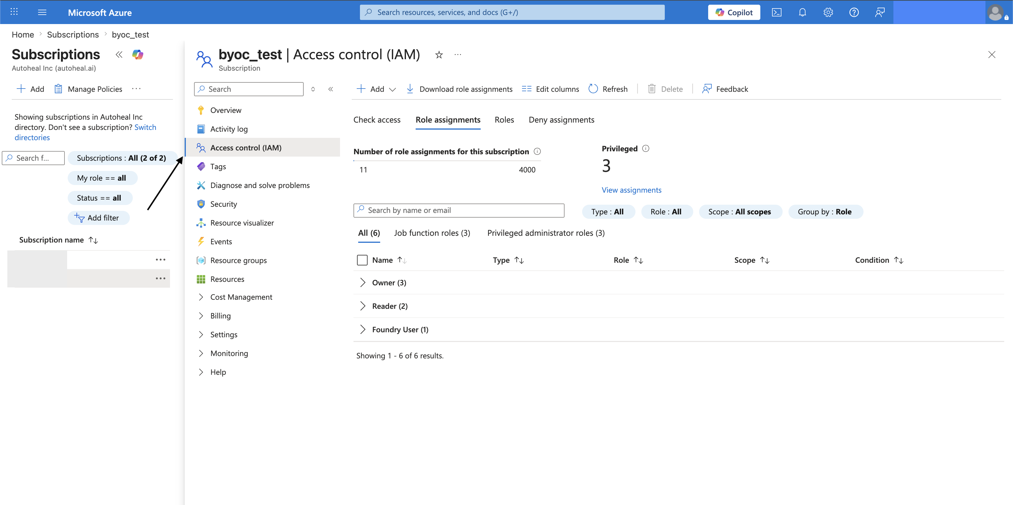 Assign the Reader role at the subscription's Access control (IAM)