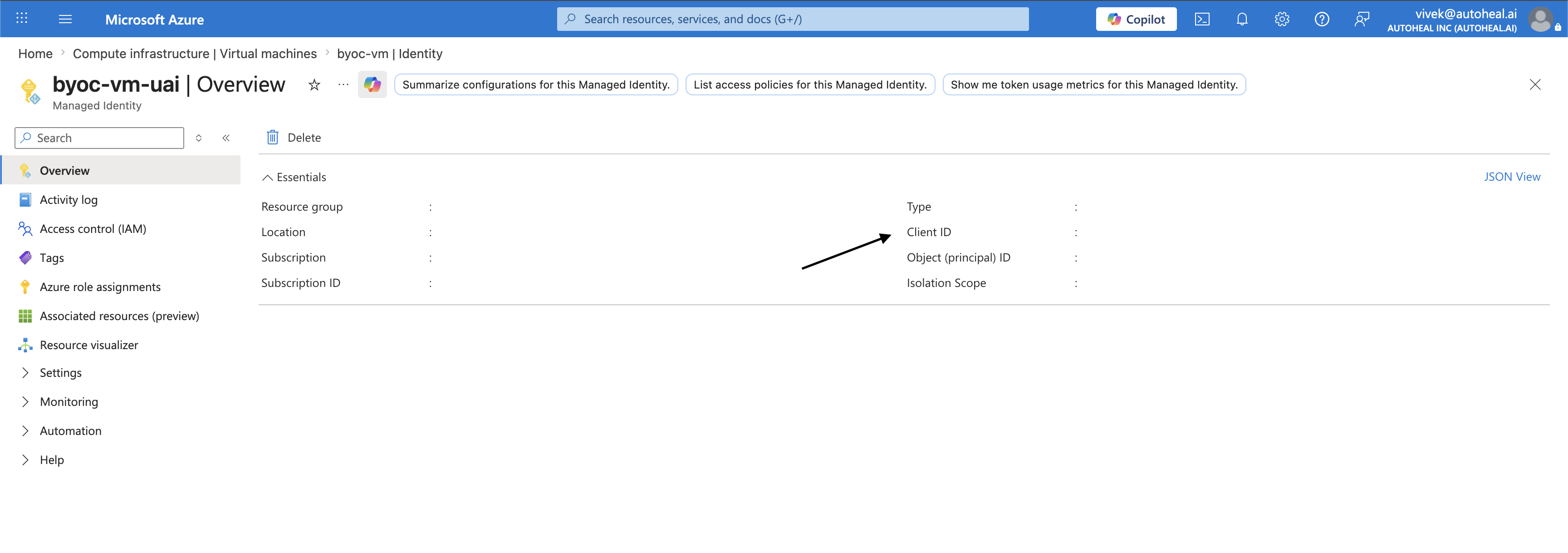 The managed identity's Client ID under Properties